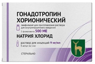 Гонадотропин хорионич. фл  500ЕД № 5 (Фермент/МЭЗ)