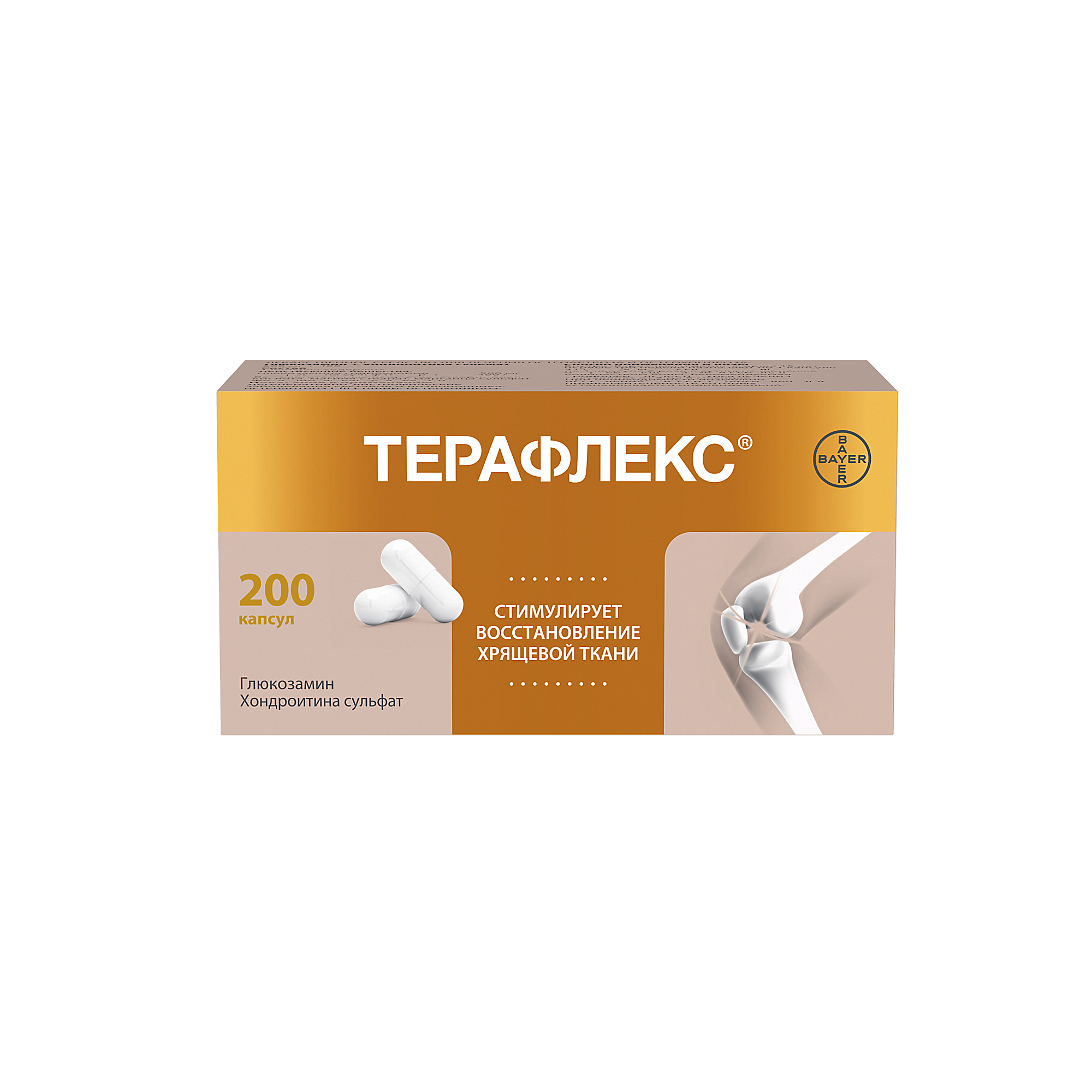 Терафлекс капс № 200
